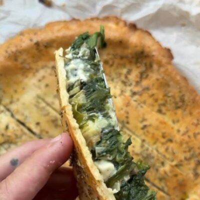 ספנקופיטה קטוגנית